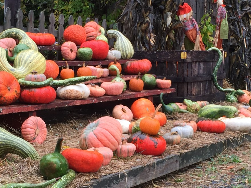 What Makes a Thanksgiving Dinner for You? | Ann H. Gabhart